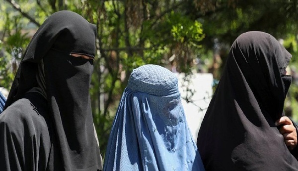 taliban women allowed study university NEWS