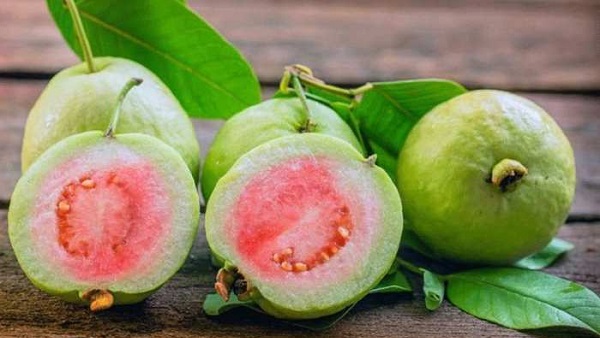 Guavas benefits in hindi winter