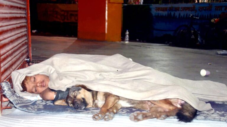homeless boy sleeping footpath dog