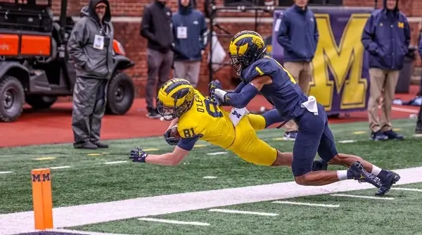 10 Michigan football players who impressed at the spring game