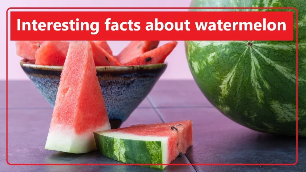 Interesting facts about watermelon